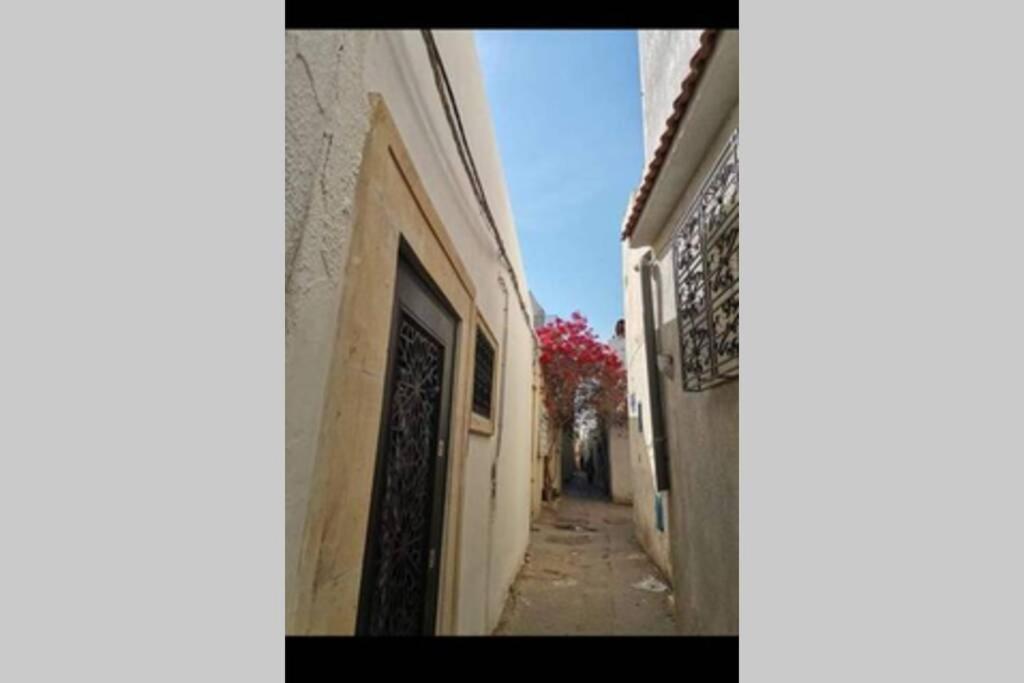 Dar El Halfaouine Apartment ตูนิส ภายนอก รูปภาพ